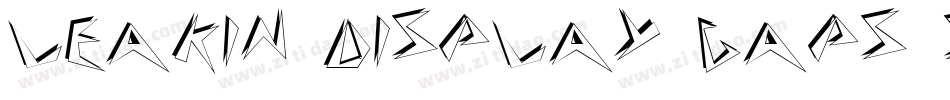 Leakin Display Caps SSi字体转换